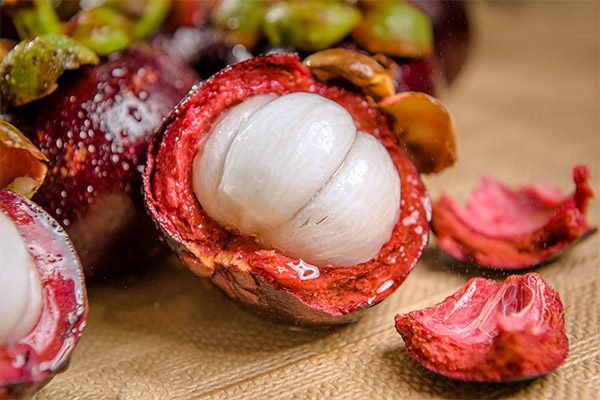 Mangosteen hakkında ilginç gerçekler