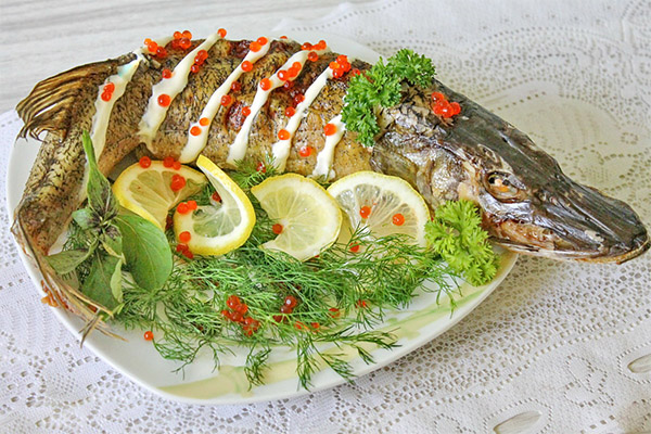 Cómo cocinar lucio sabroso