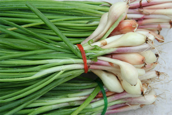 Cara memilih dan menyimpan bawang merah