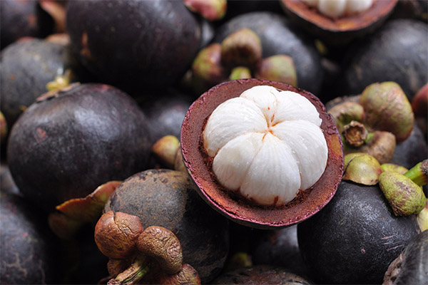 Mangosteen in folk medicine