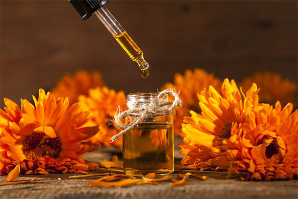 Marigold oil