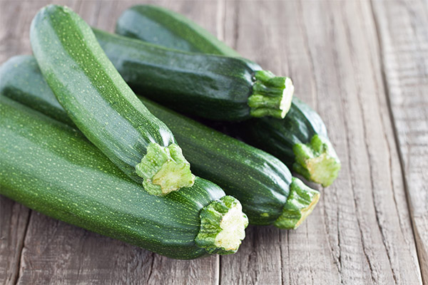 Sifat berguna zucchini