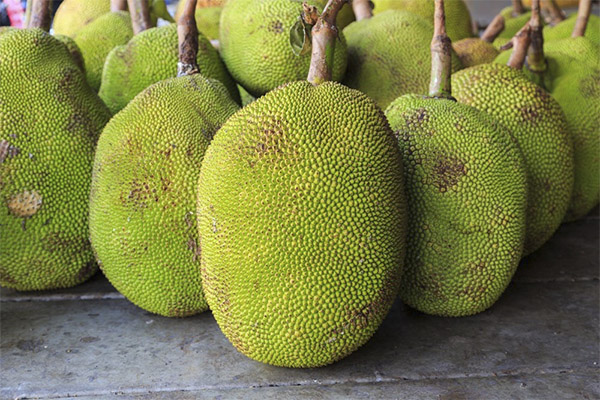 Výhody Jackfruit