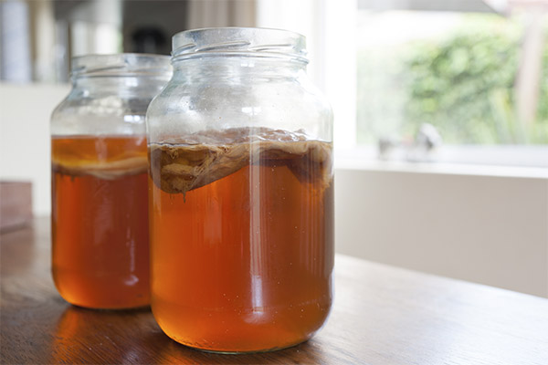 Lợi ích và tác hại của Kombucha