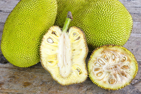 Fordelene og skadene ved jackfruit