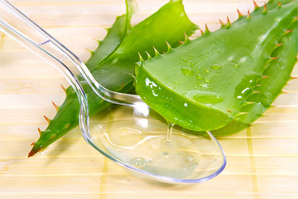 The use of aloe in cosmetology