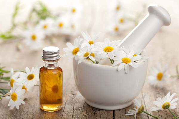 Penggunaan chamomile dalam kosmetologi