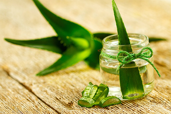 Seeing Healing Compounds with Aloe