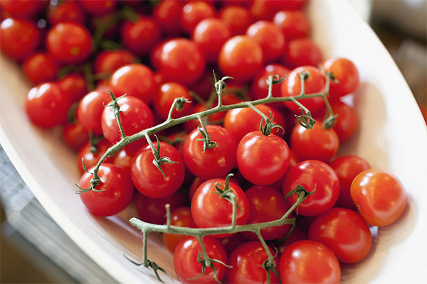 Fatos interessantes sobre tomate cereja