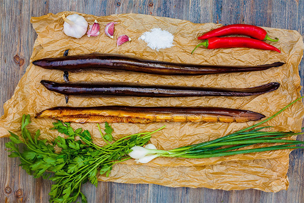 Cara memasak belut dengan sedap