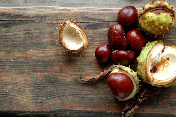 As propriedades curativas da castanha da Índia