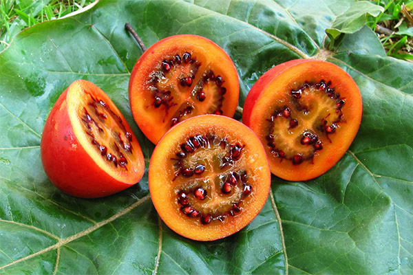 Οφέλη για την υγεία των φρούτων tamarillo