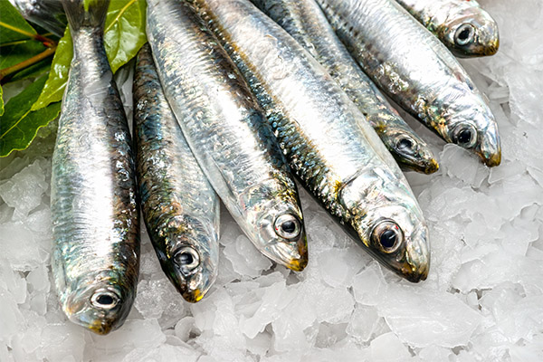 Propiedades útiles de las sardinas.