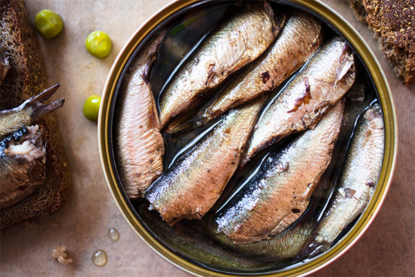 De voordelen en nadelen van ingeblikte sardines