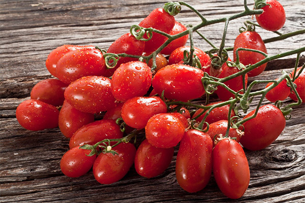 Ang mga benepisyo at pinsala sa mga kamatis ng cherry