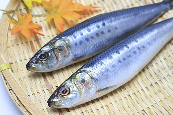 Los beneficios y daños de las sardinas