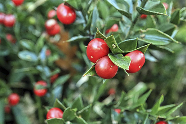 Αντενδείξεις για τη χρήση της βελόνας