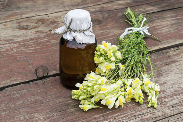 Tipos de compostos medicinais com linho