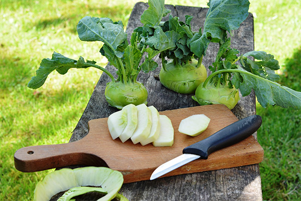 Ano ang maaaring ihanda mula sa kohlrabi repolyo