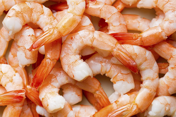 Comment choisir les bonnes crevettes