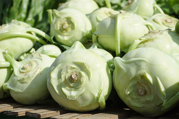 How to choose and store kohlrabi