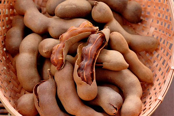 Πώς να επιλέξετε και να αποθηκεύσετε το tamarind