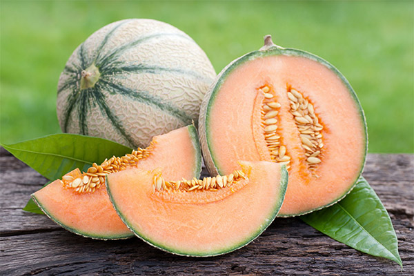 cantaloupe