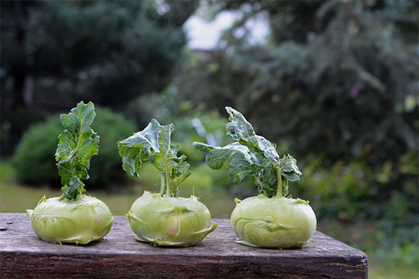 Zelí z Kohlrabi v medicíně