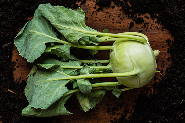 Adakah mungkin memakan daun kohlrabi