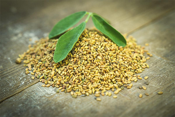 Fenugreek ในความงาม