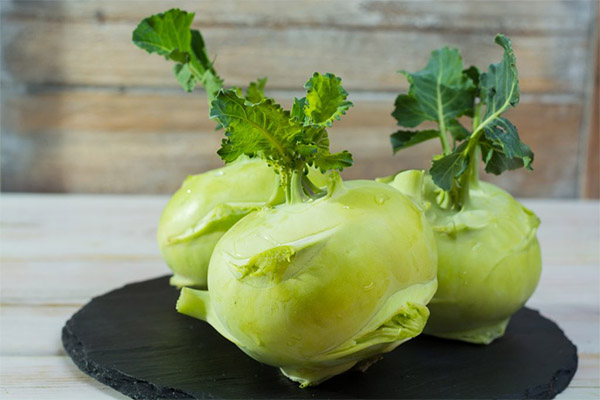 Useful properties of kohlrabi cabbage