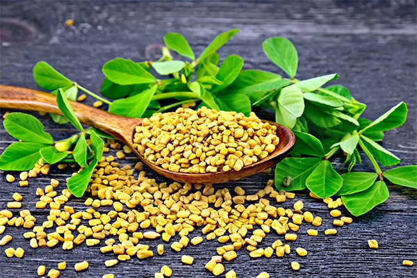 Χρήσιμες ιδιότητες του fenugreek