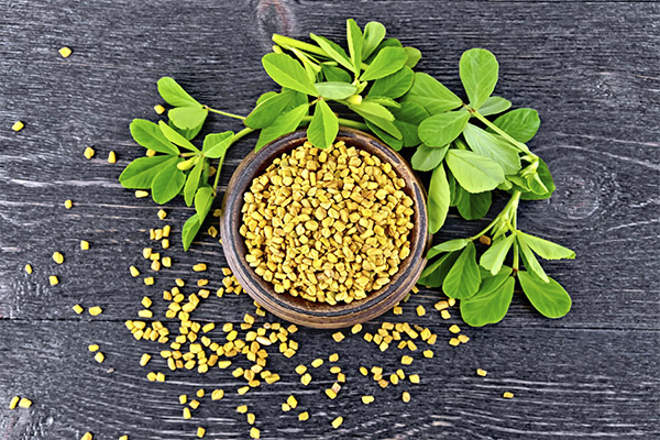 ประโยชน์และอันตรายของ Fenugreek