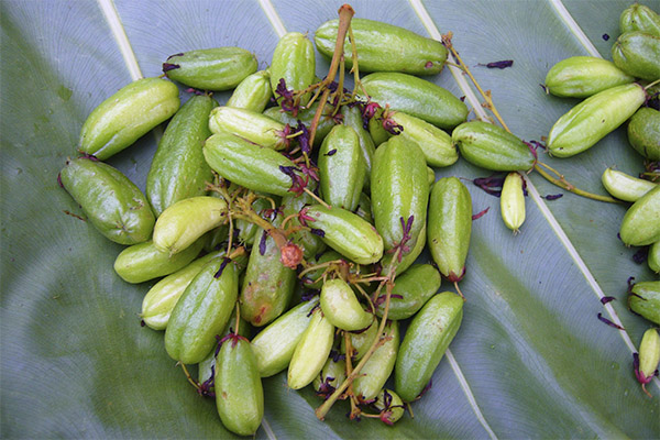 Het gebruik van bilimbi fruit bij het koken