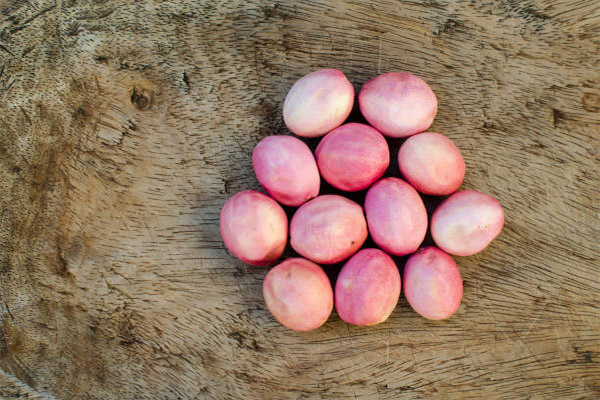 Het gebruik van Ikako-fruit in cosmetica