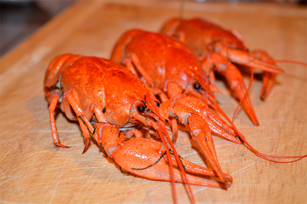 Crayfish in medicine