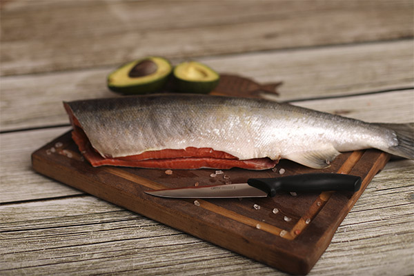 ¿Qué se puede cocinar con salmón coho?