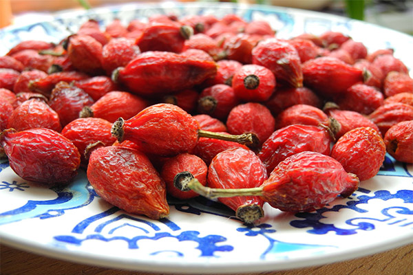 What can be prepared from dried rose hips