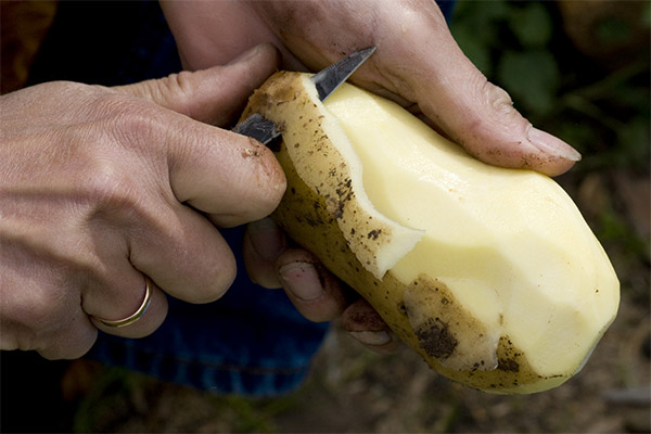 Comment éplucher les pommes de terre