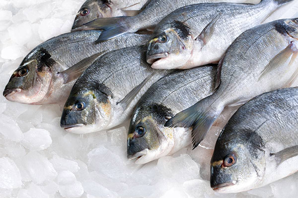 How to defrost fish properly and quickly