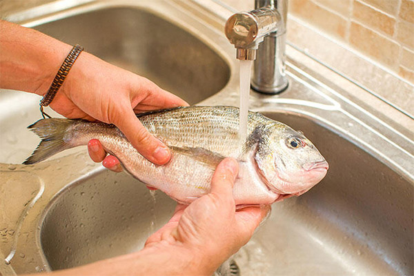 Paano tunawin ang isda sa tubig