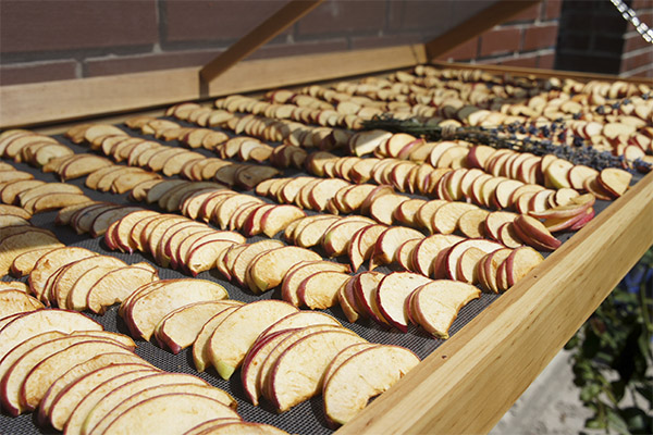 How to dry apples in the sun