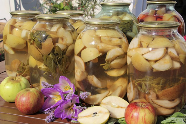 Manzanas estofadas para el invierno