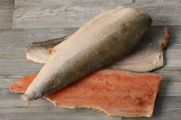 Användbara egenskaper hos coho laxfisk