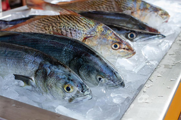 ¿Cuánto se almacena el pescado descongelado en el refrigerador?